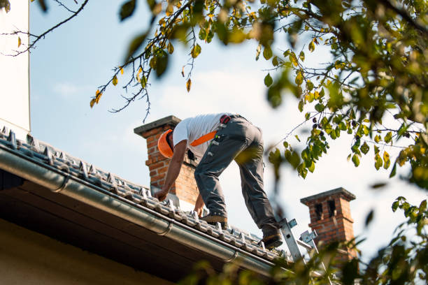 Best Roof Gutter Cleaning  in Burkburnett, TX